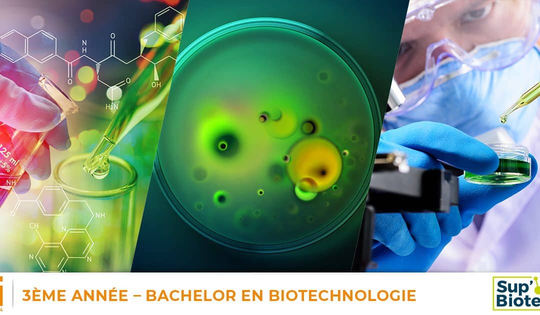 Diplôme Biotechnologie Bac+2 +3 BTS, en Alternance et Apprentissage en passant par l’AFI 24 !