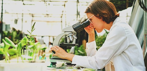 Chargé d’étude environnement : Un acteur clé de la transition écologique et un sauveur discret de la planète !